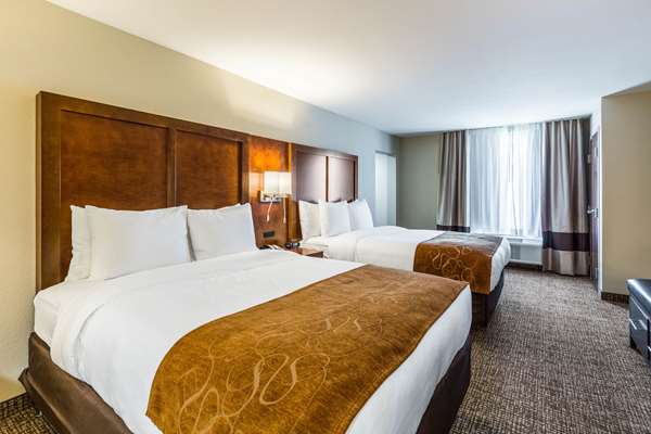 Suite - Comfort Suites Channelview - I-10, Exit 783