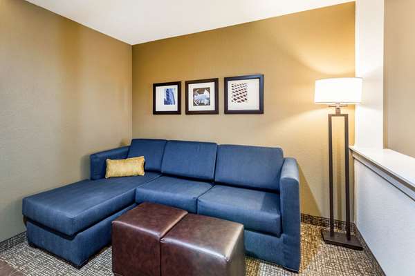 Suite - Comfort Suites Channelview - I-10, Exit 783