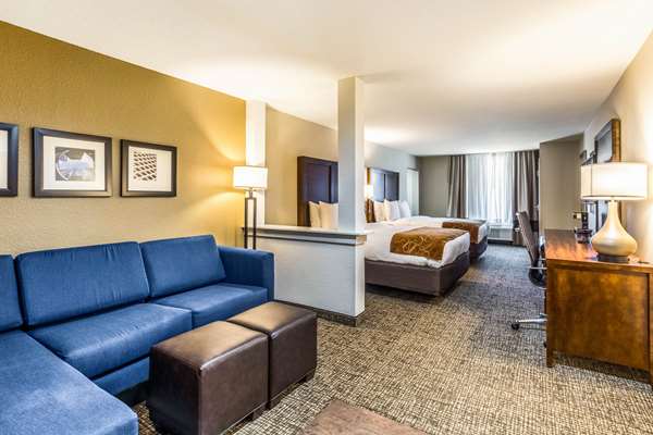 Suite - Comfort Suites Channelview - I-10, Exit 783