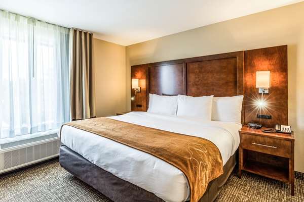 Suite - Comfort Suites Channelview - I-10, Exit 783