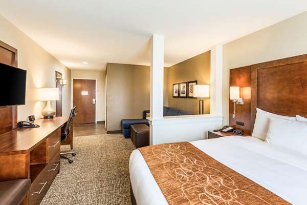 Suite - Comfort Suites Channelview - I-10, Exit 783