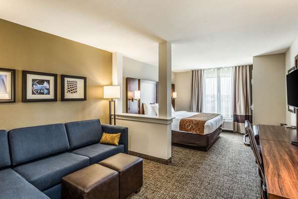 Suite - Comfort Suites Channelview - I-10, Exit 783