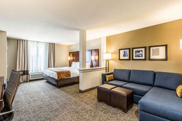 Suite - Comfort Suites Channelview - I-10, Exit 783