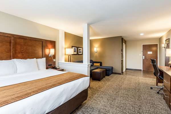 Suite - Comfort Suites Channelview - I-10, Exit 783