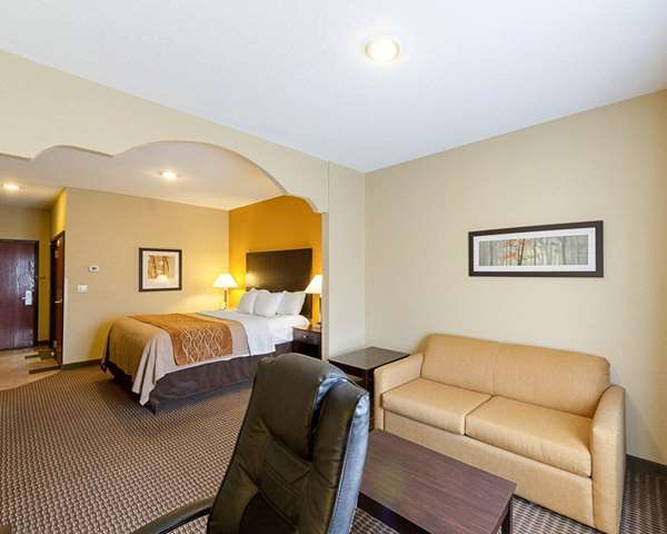 Suite - Comfort Inn & Suites Burnet