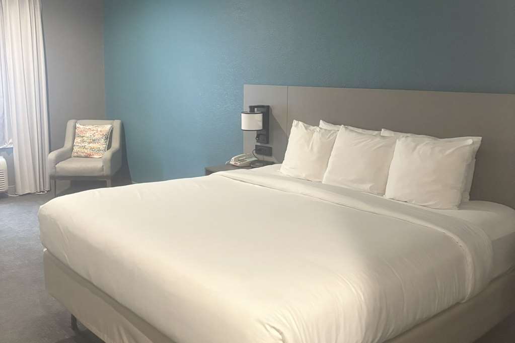 COMFORT INN AND SUITES BURNET-guestroom-Guest Room,On-Site.jpg