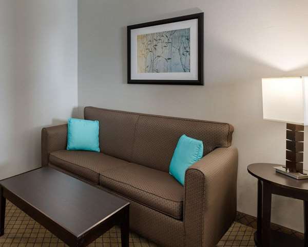 Suite - Comfort Suites at Katy Mills - I-10, Exit 741