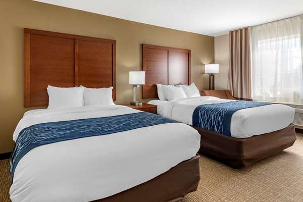  - Comfort Inn & Suites Boerne - I-10, Exit 540