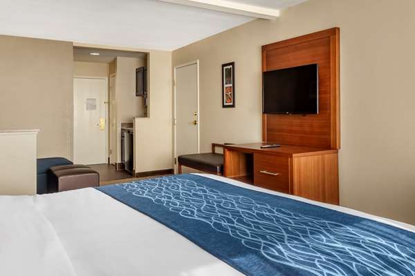 Suite - Comfort Inn & Suites Boerne - I-10, Exit 540