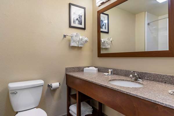 Suite - Comfort Inn & Suites Boerne - I-10, Exit 540