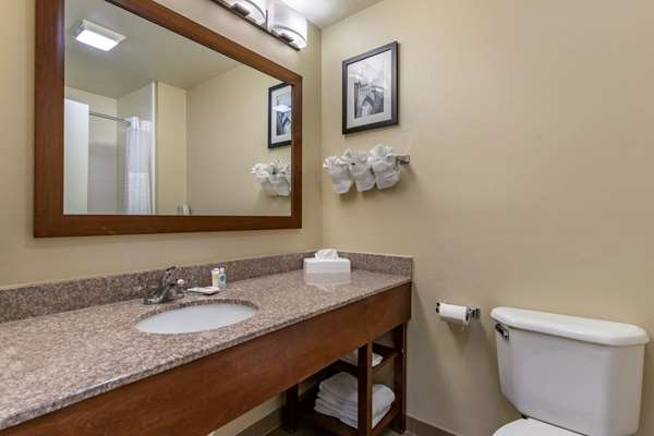  - Comfort Inn & Suites Boerne - I-10, Exit 540