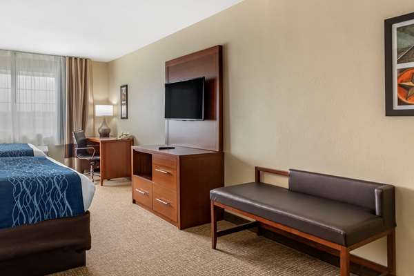Suite - Comfort Inn & Suites Boerne - I-10, Exit 540