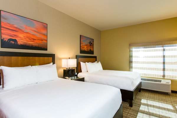 Suite - Cambria Hotel Plano