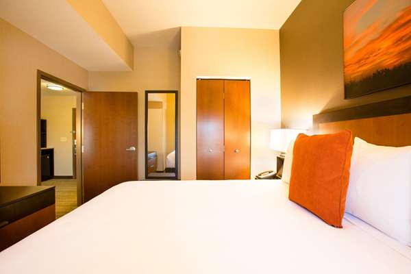 Suite - Cambria Hotel Plano