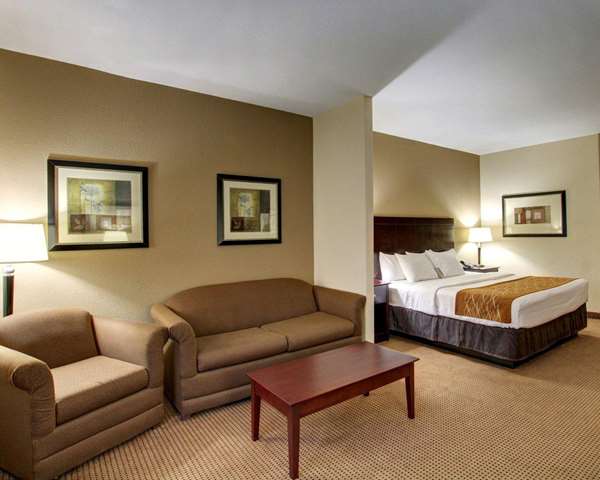 Suite - Comfort Inn & Suites Alvarado
