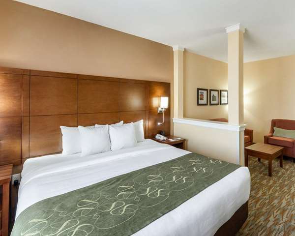 Suite - Comfort Suites Cotulla