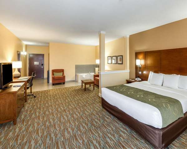 Suite - Comfort Suites Cotulla