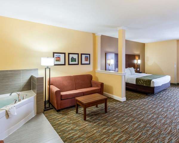 Suite - Comfort Suites Cotulla