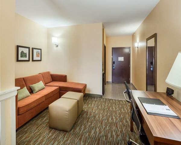 Suite - Comfort Suites Cotulla