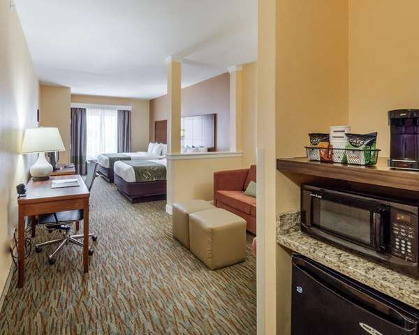 Suite - Comfort Suites Cotulla