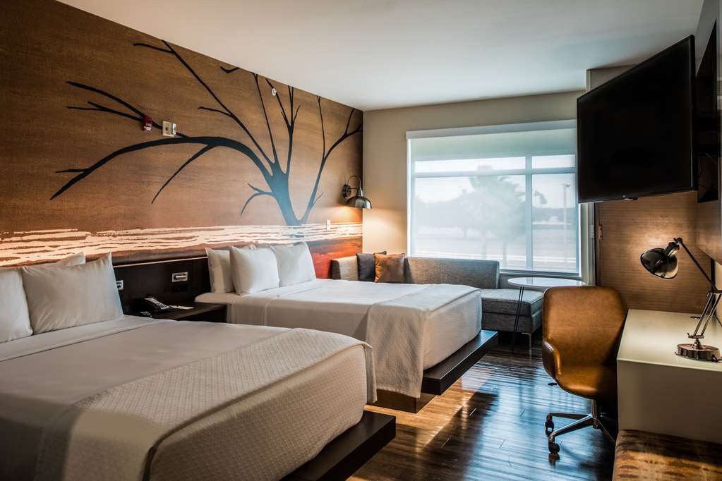 CAMBRIA HOTEL MCALLEN-guestroom-Guest Room,On-Site.jpg
