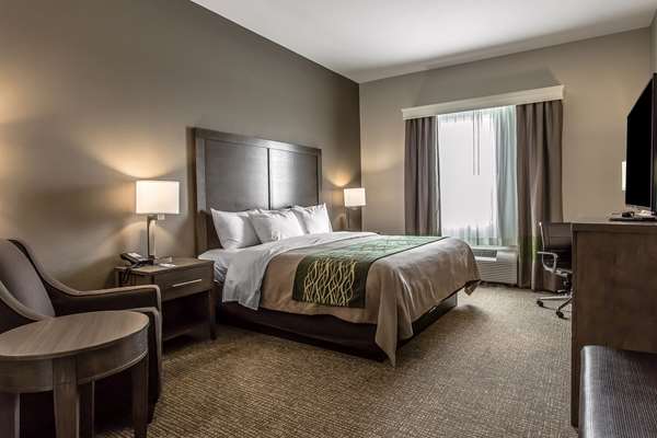  - Comfort Inn & Suites Snyder