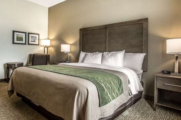  - Comfort Inn & Suites Snyder