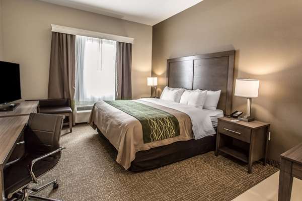  - Comfort Inn & Suites Snyder