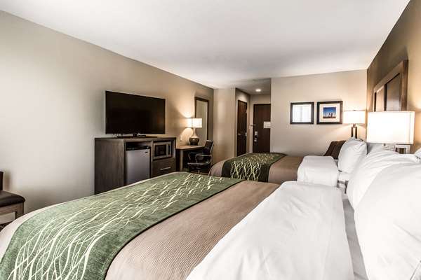  - Comfort Inn & Suites Snyder