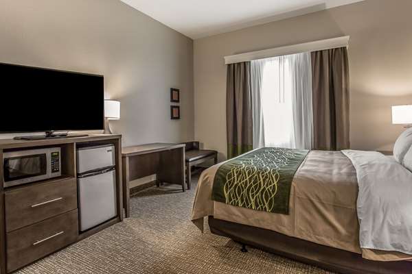  - Comfort Inn & Suites Snyder