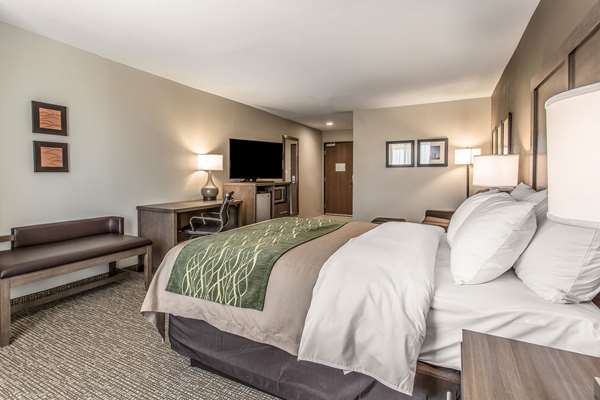 Suite - Comfort Inn & Suites Snyder