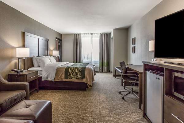 Suite - Comfort Inn & Suites Snyder