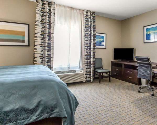 Suite - MainStay Suites Midland - I-20, Exit 137