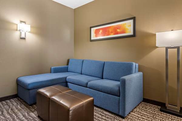  - Comfort Suites Beltway 8 Houston
