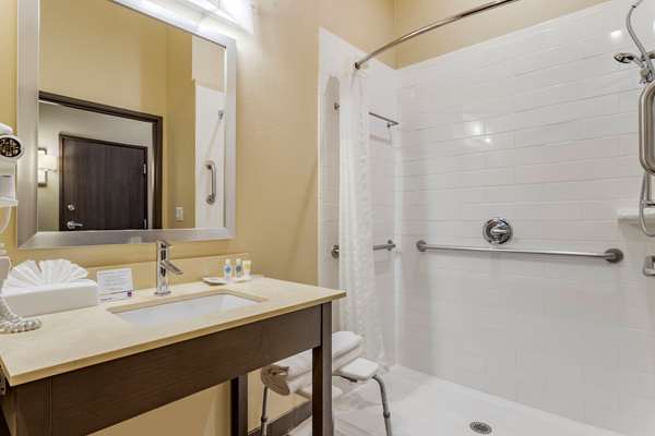  - Comfort Suites Beltway 8 Houston