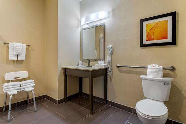  - Comfort Suites Beltway 8 Houston