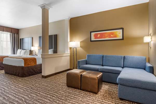  - Comfort Suites Beltway 8 Houston