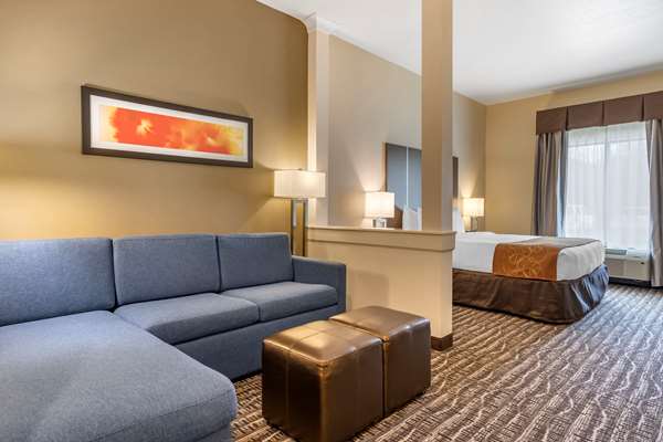  - Comfort Suites Beltway 8 Houston