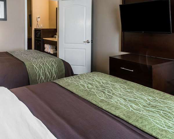 Suite - Comfort Inn & Suites Pharr