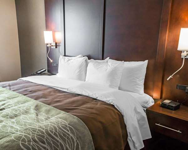 Suite - Comfort Inn & Suites Pharr