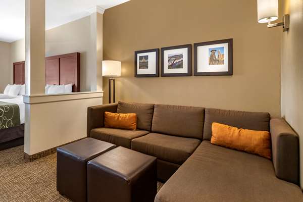 Suite - Comfort Suites Kyle