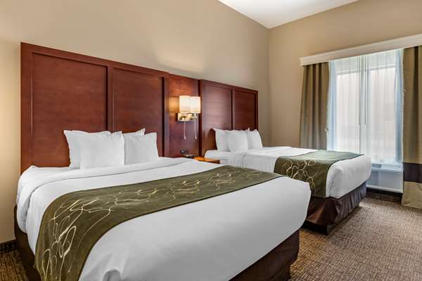 Suite - Comfort Suites Kyle