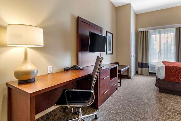 Suite - Comfort Suites Kyle