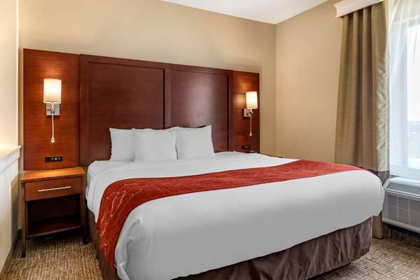 Suite - Comfort Suites Kyle