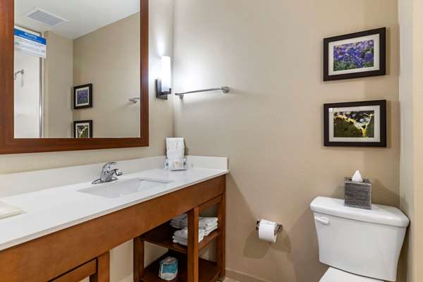 Suite - Comfort Suites Kyle