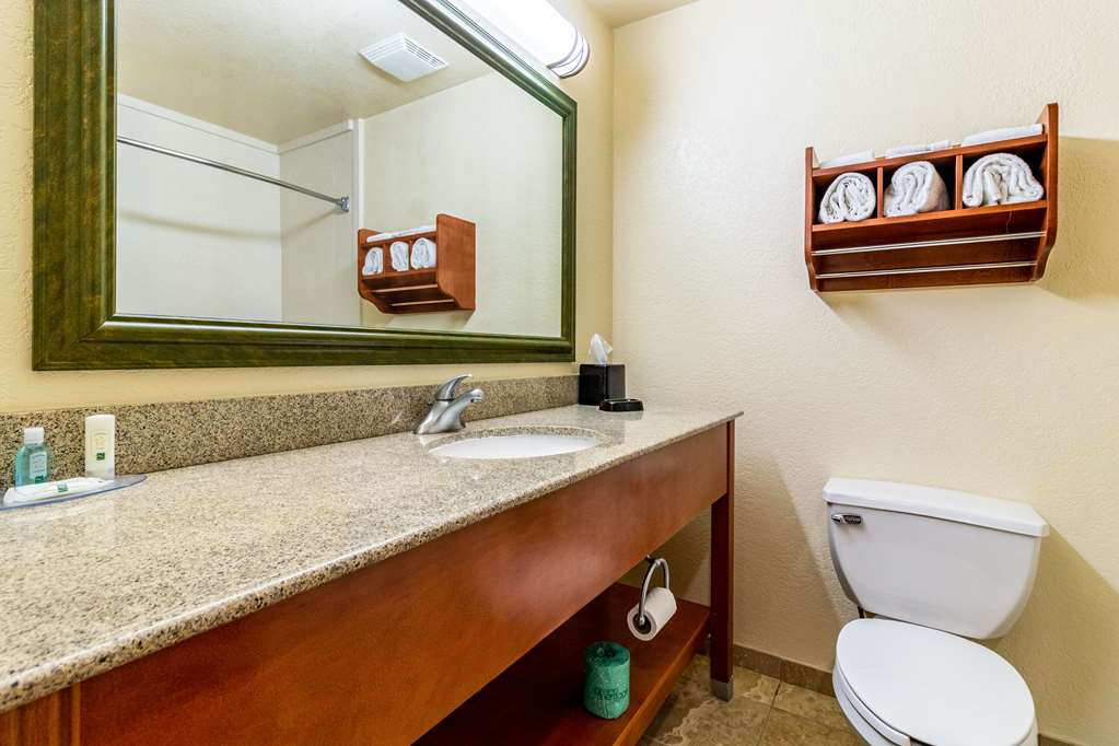 QUALITY INN TEXAS CITY I-45-guestroom-Guest Room,Bathroom,On-Site.jpg