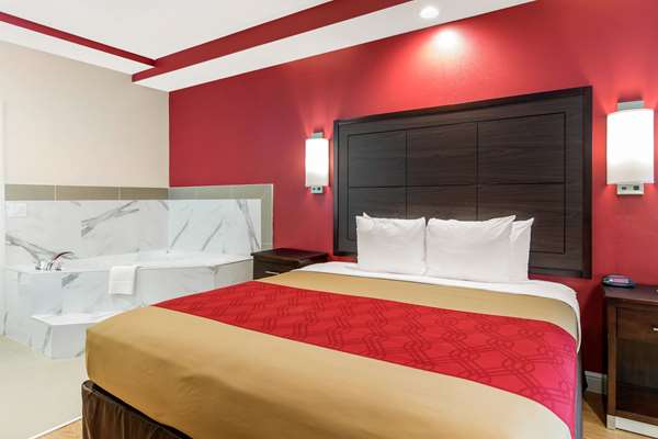 Suite - Econo Lodge Inn & Suites Northwest Houston