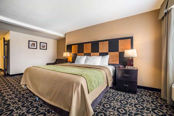 Suite - Comfort Inn Ballard