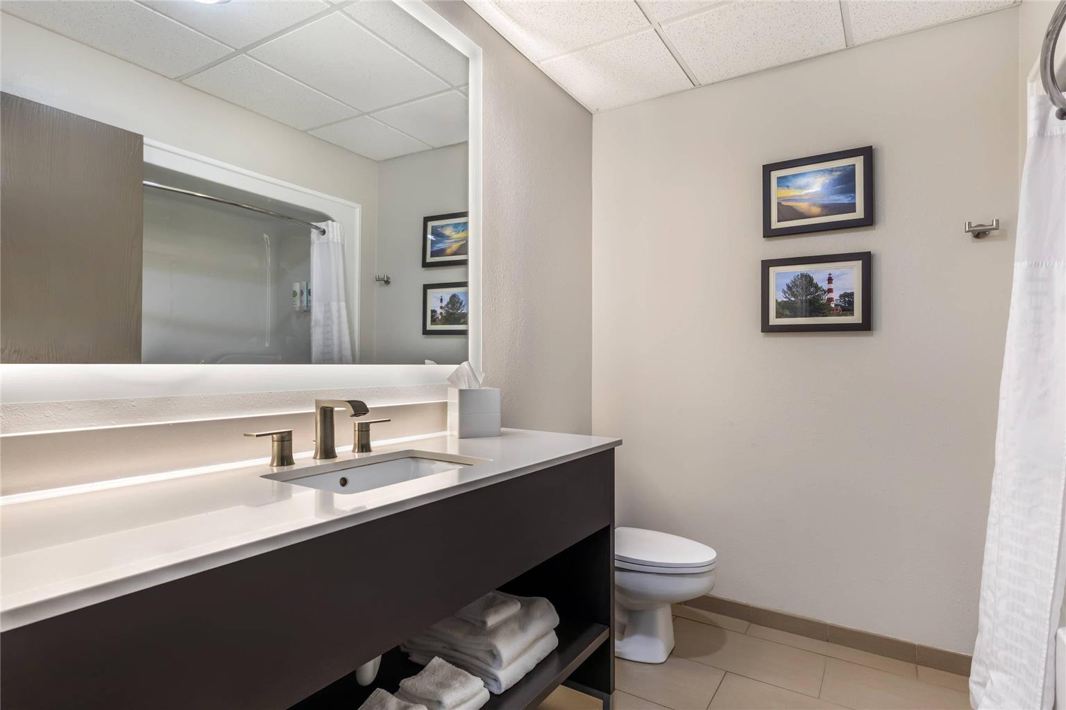 COMFORT SUITES CHINCOTEAGUE ISLAND-guestroom-Guest Room,Bathroom,On-Site.jpg