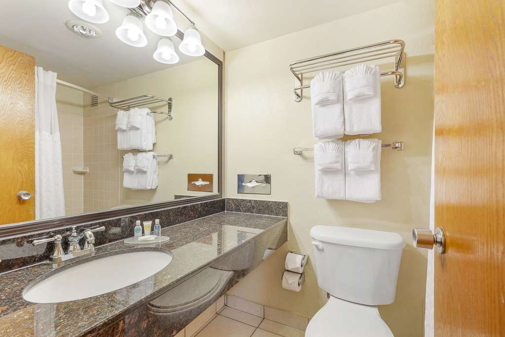 COMFORT INN FAIRFAX UNIVERSITY CENT-guestroom-Guest Room,Bathroom,On-Site.jpg